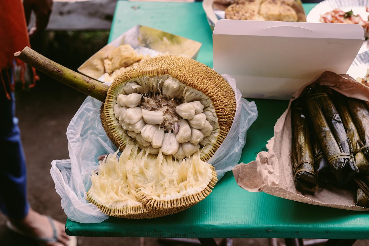 cara mengolah biji nangka jadi kopi