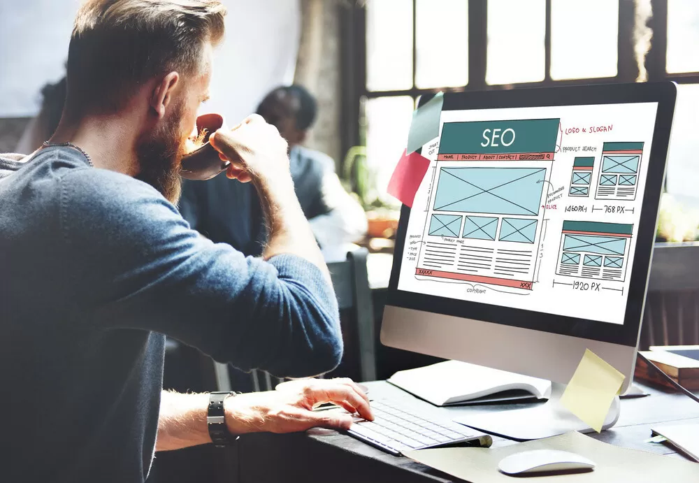 harga seo website