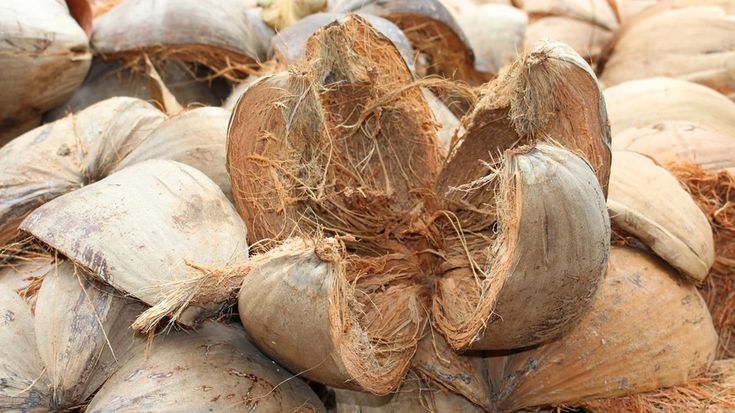 serat kelapa sebagai bahan jaring
