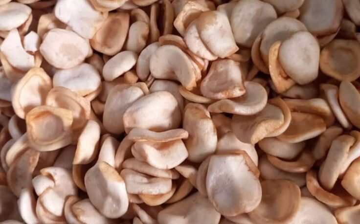 analisa keuntungan keripik buah salak