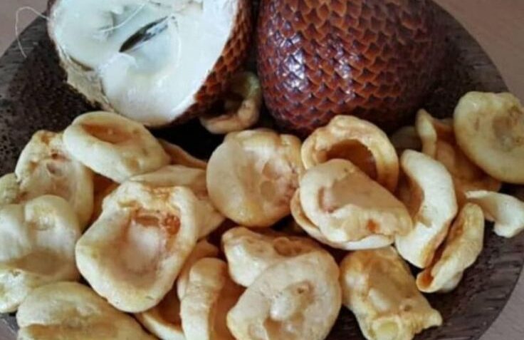 analisa keuntungan keripik buah salak