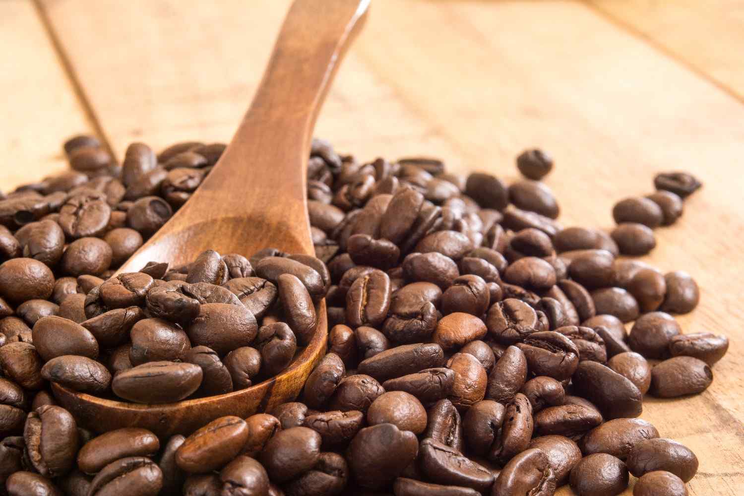 biji kopi