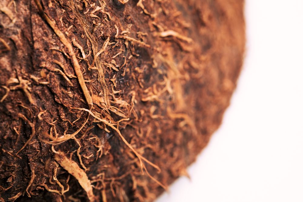 Fungsi Mesin Cocofiber dan Cocopeat