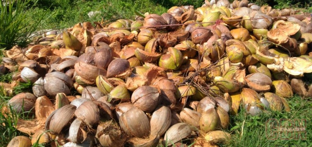 Pendekatan Mekanis Penguraian Sabut Kelapa