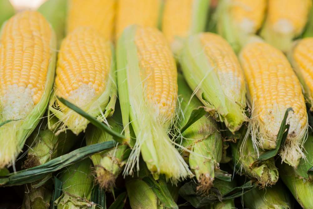Tujuan Penggunaan Mesin Pemipil Jagung
