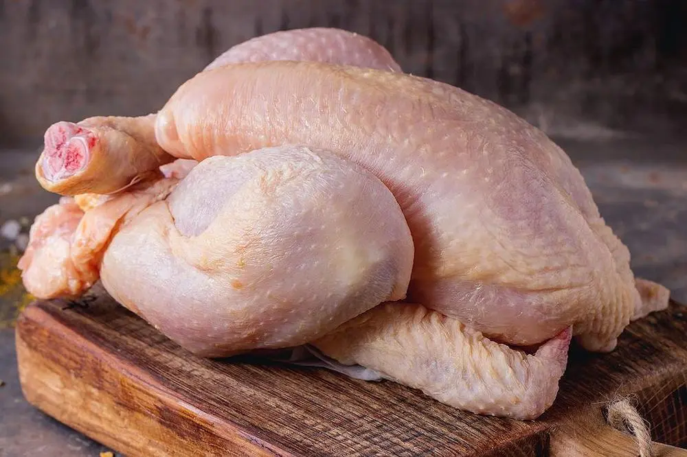 hasil cabutan bulu ayam bersih