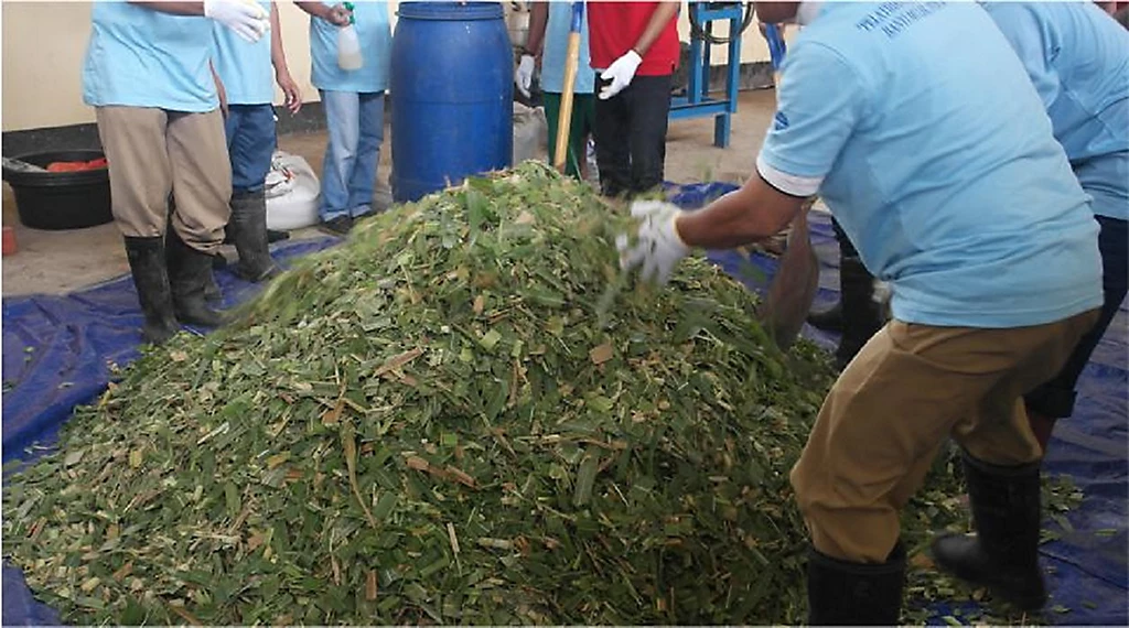 cara menyimpan pakan rumput cincang